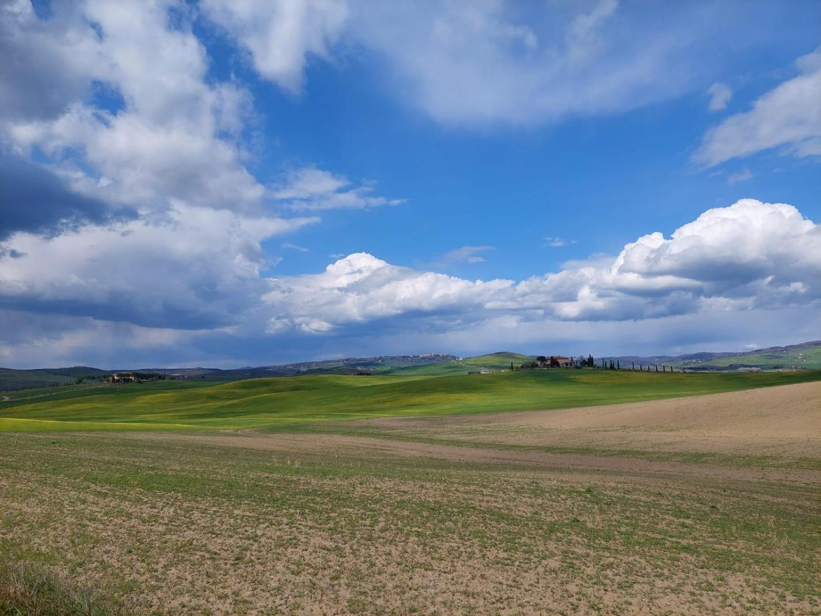 Willa Al Piccolo Ulivo, A Casa Di Mimo&Se Castiglione dʼOrcia Zewnętrze zdjęcie