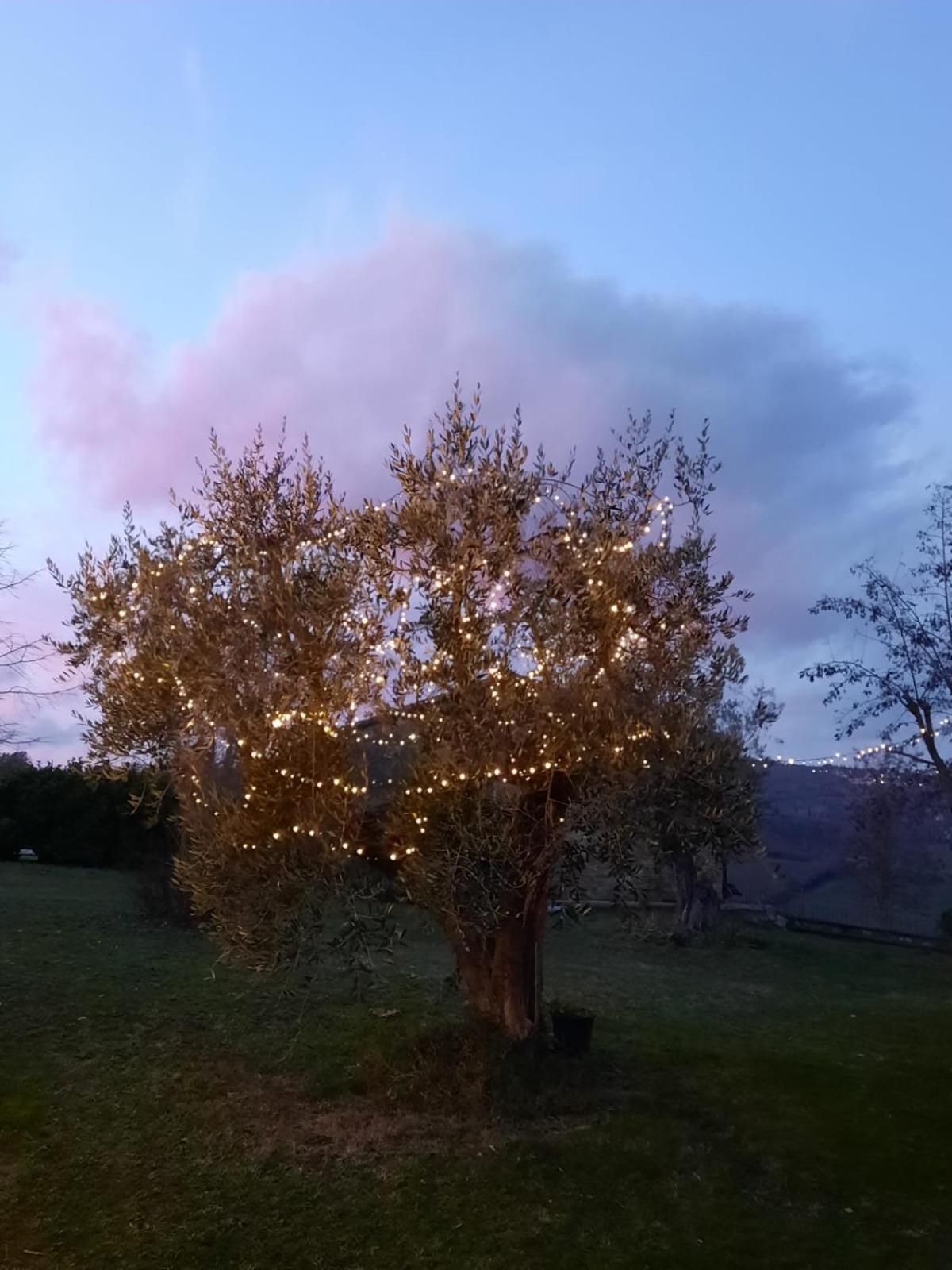 Willa Al Piccolo Ulivo, A Casa Di Mimo&Se Castiglione dʼOrcia Zewnętrze zdjęcie
