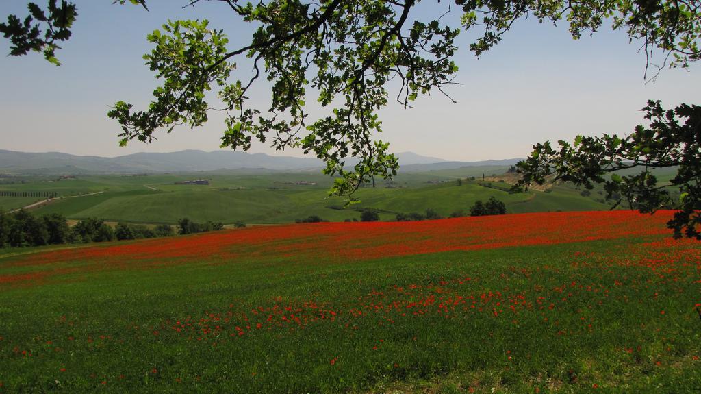 Willa Al Piccolo Ulivo, A Casa Di Mimo&Se Castiglione dʼOrcia Zewnętrze zdjęcie